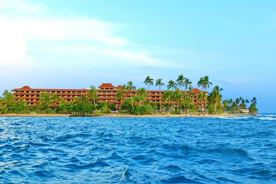 Hikka Tranz by Cinnamon