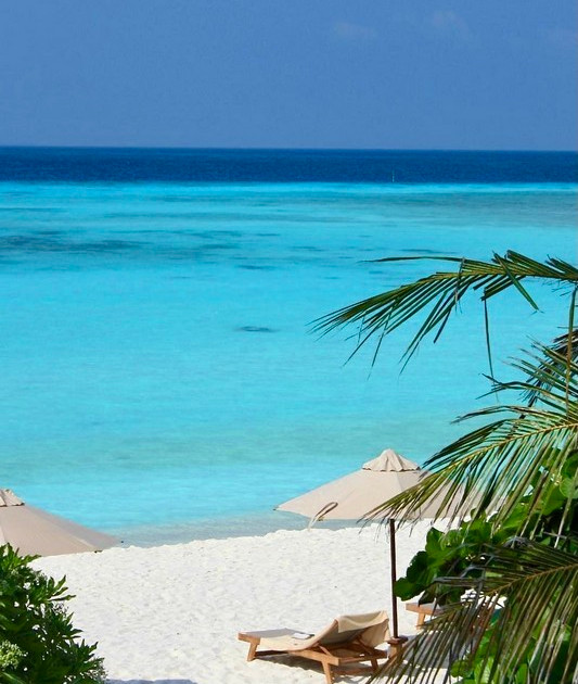 The Barefoot Eco Hotel