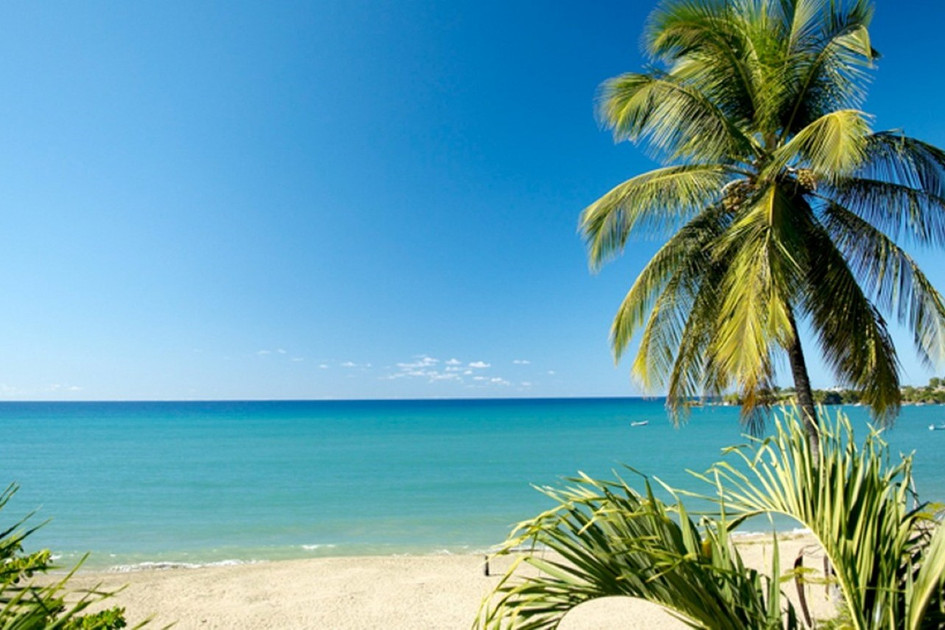Starfish Tobago Resort