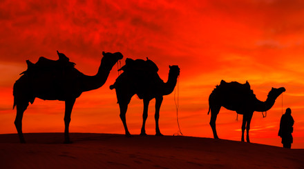 Slevy a akce Emiráty