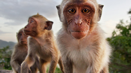 Objevte cestování bez kompromisů