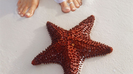 Proč cestovat s INEXem