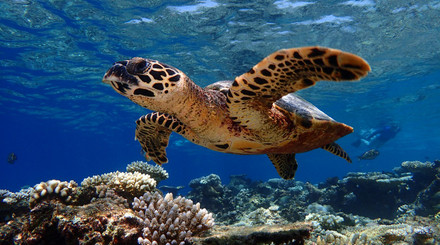 Inspirujte se Indickým oceánem