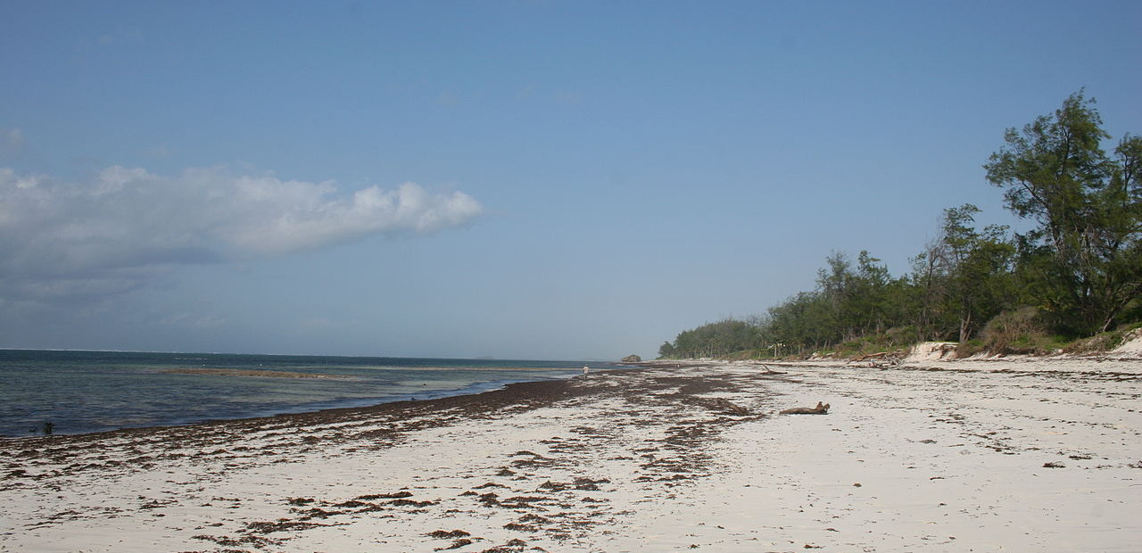 watamu