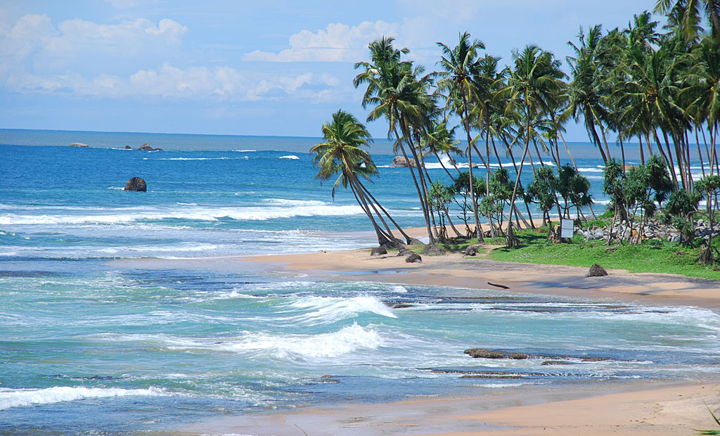 galle4