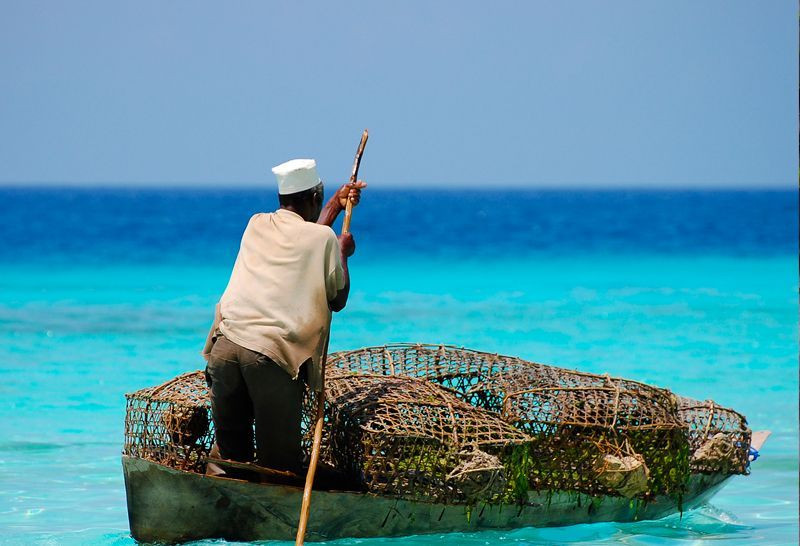 zanzibar_47384997761_o