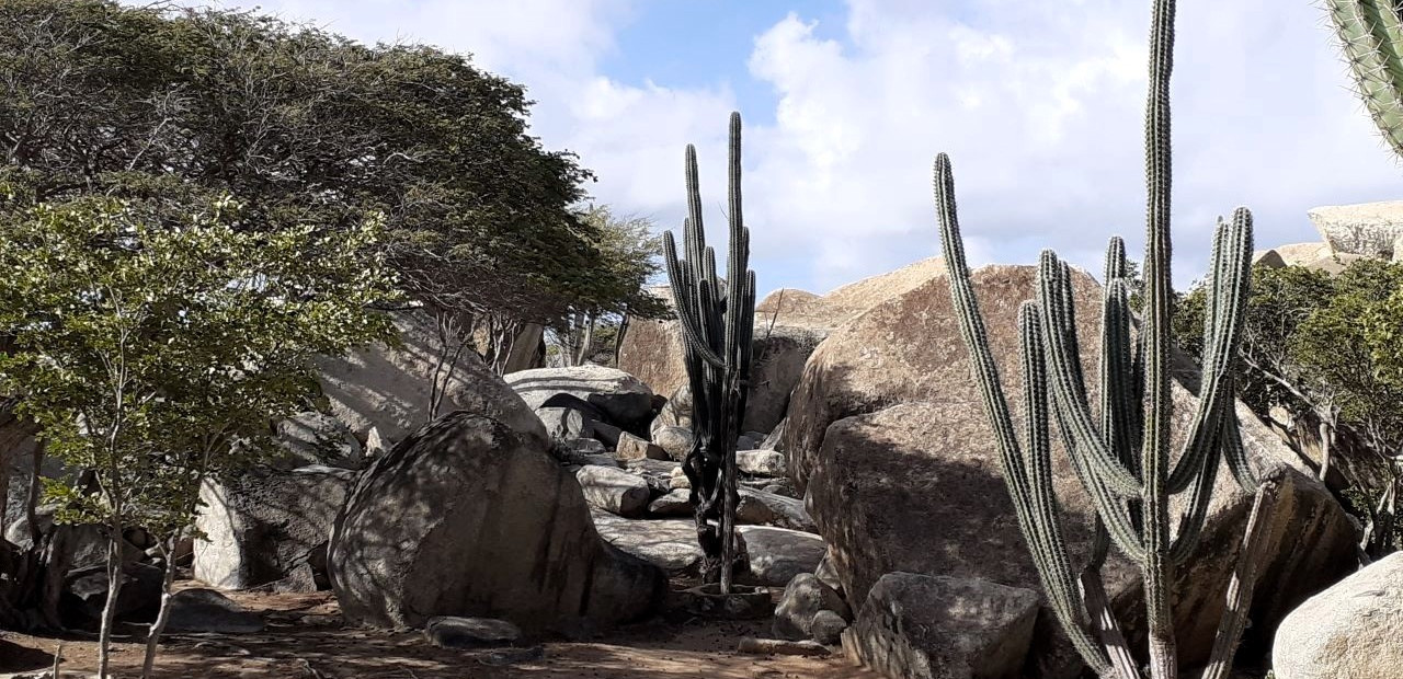 Aruba - Ayo a Casibari