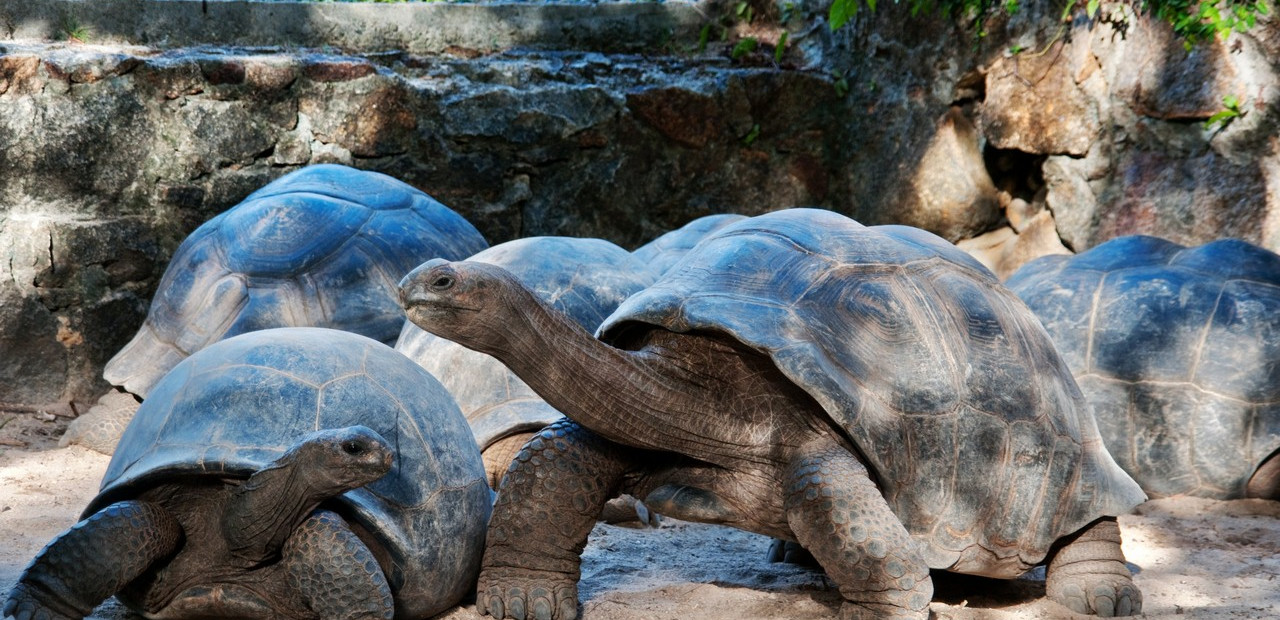 Seychely - přírodní parky