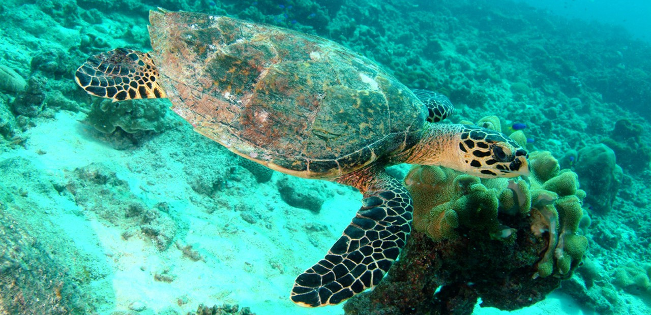 Seychely - přírodní parky