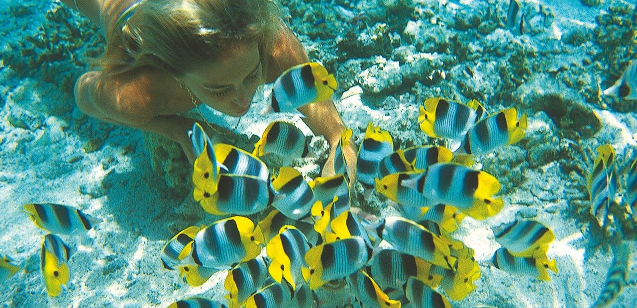 Francouzská Polynésie - parametry