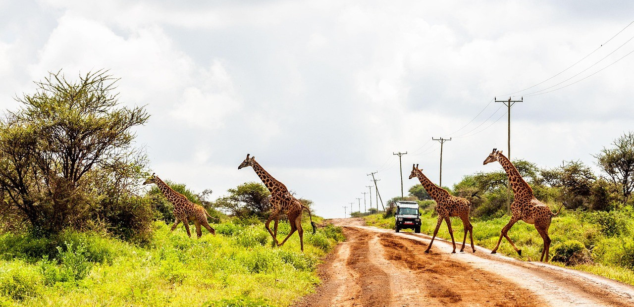 Keňa - Národní park Amboseli