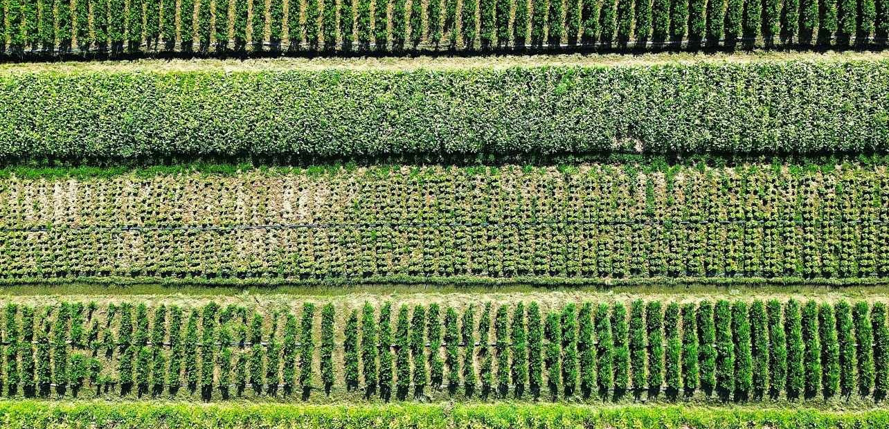 Trinidad a Tobago - ekonomika