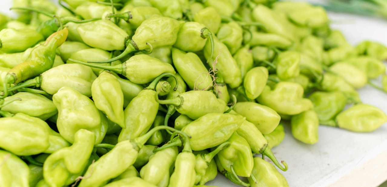 Trinidad a Tobago - ekonomika