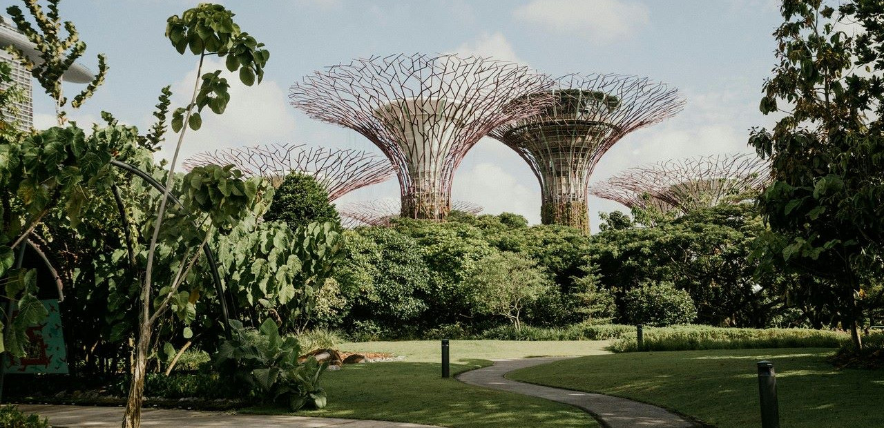 Singapur - příroda