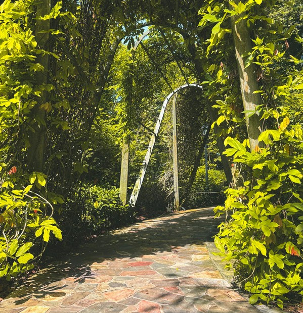 Singapur - příroda