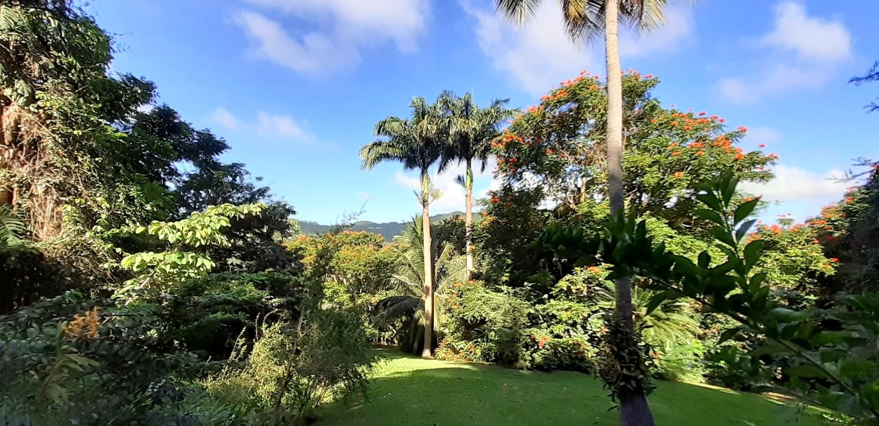 Barbados - přírodní rezervace