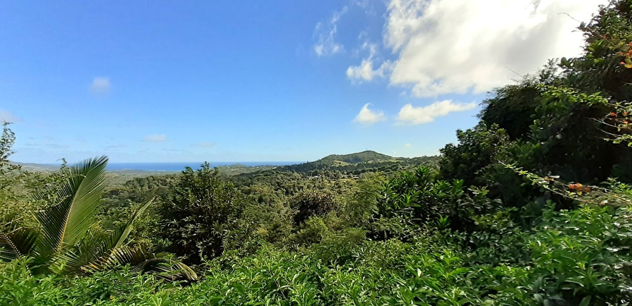 Barbados - přírodní rezervace