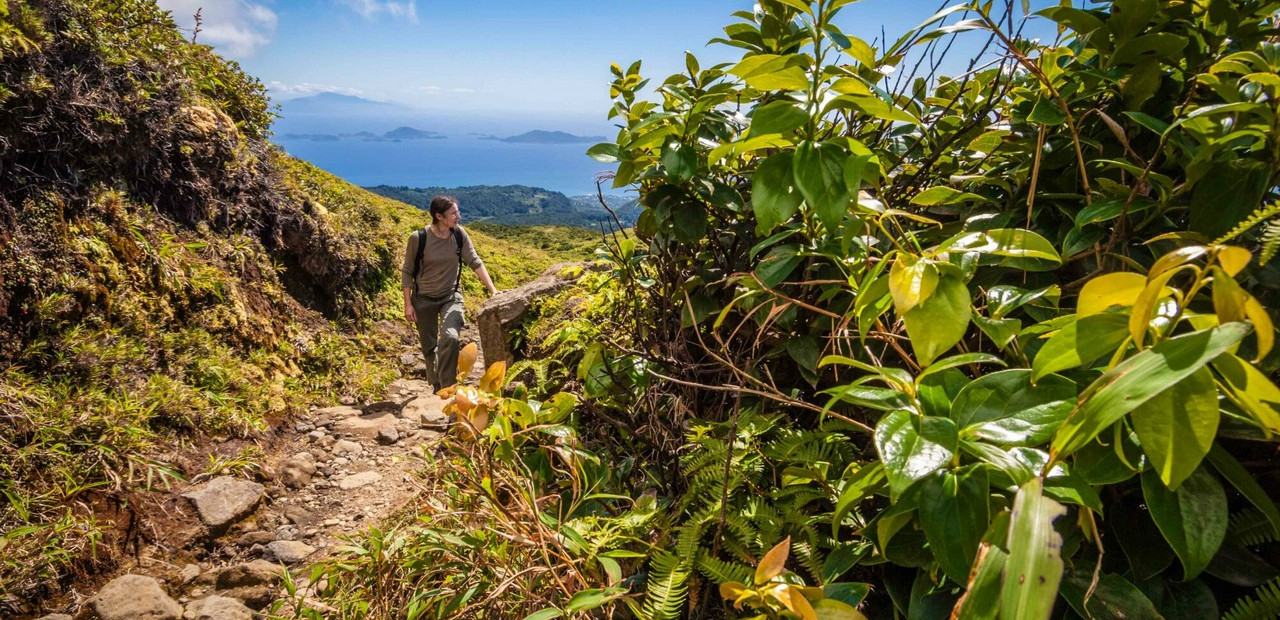 Guadeloupe – národní park a sopka La Sufrierre