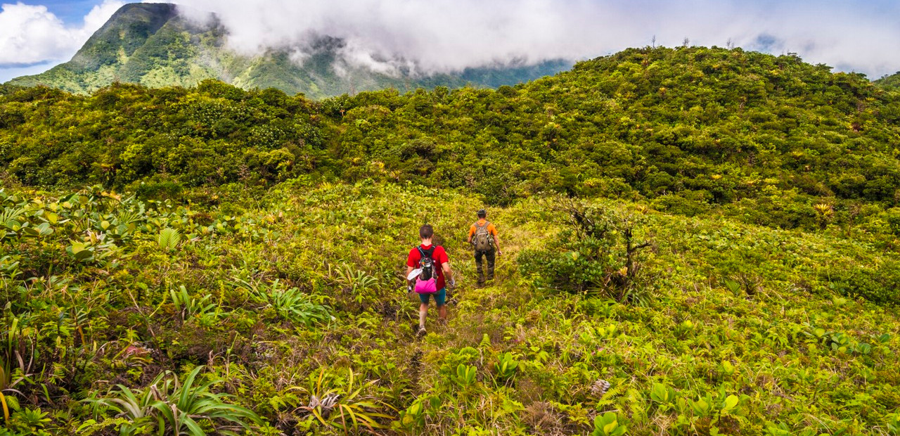 Guadeloupe – národní park a sopka La Sufrierre