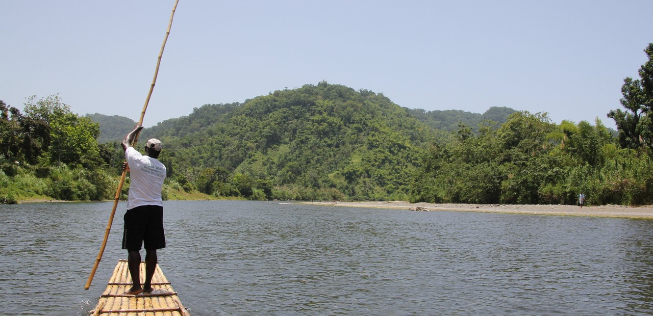 Jamajka - fauna a flóra