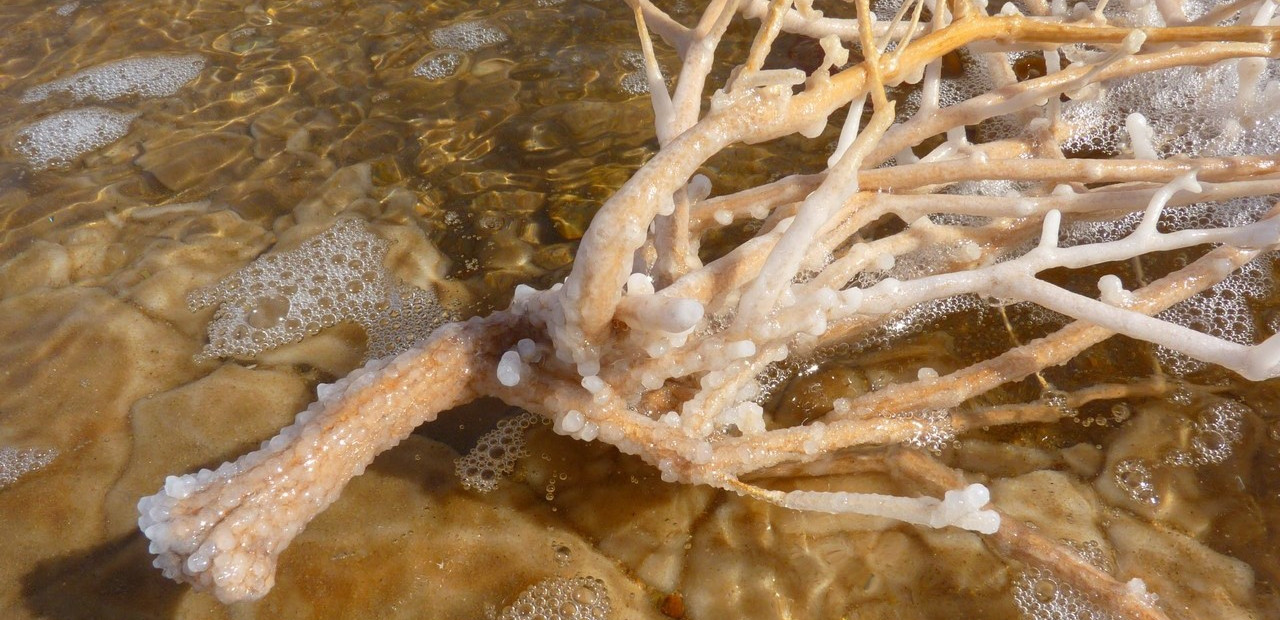 Jordánsko - Mrtvé moře