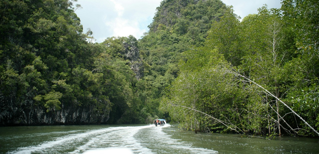 Langkawi - mezi plážemi a mangrovy