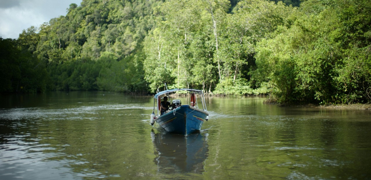 Langkawi - mezi plážemi a mangrovy