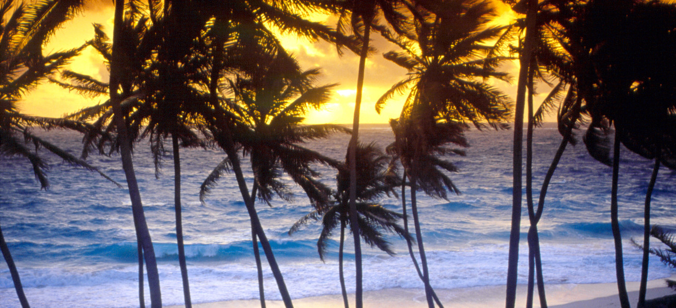 Barbados_Náladovky (8)