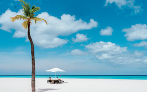 Bucuti and Tara Beach Resorts