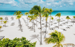 Bucuti and Tara Beach Resorts