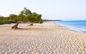 Amsterdam Manor Beach Resort 1 (6)