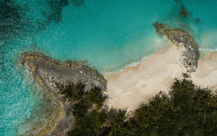 The Cove at Atlantis