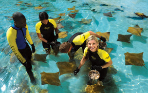 The Coral at Atlantis