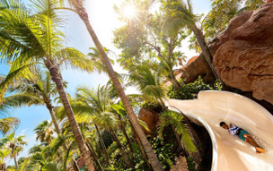 The Coral at Atlantis