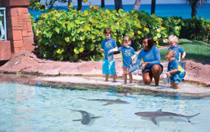 The Coral at Atlantis