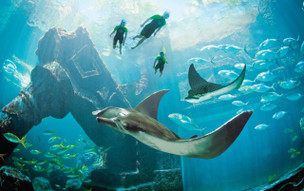 The Royal at Atlantis