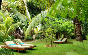 Coin de Mire Attitude