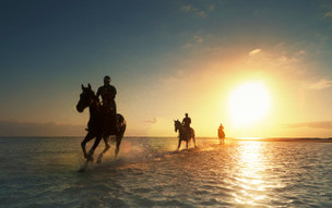 LUX* Belle Mare Plage