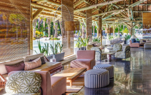 The Ravenala Attitude