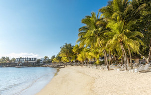 The Ravenala Attitude