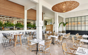 The Ravenala Attitude