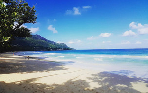 Coral Strand ext1 (2)