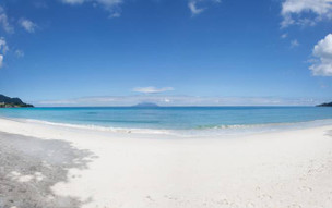 Coral Strand ext5 (1)