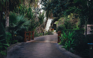 Dubai Marine Beach Resort (11)