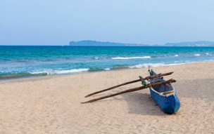 Trinco Blu by Cinnamon