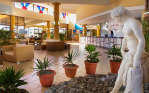 Starfish Cuatro Palmas