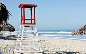 Starfish Cuatro Palmas