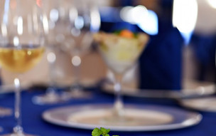 Starfish Cuatro Palmas