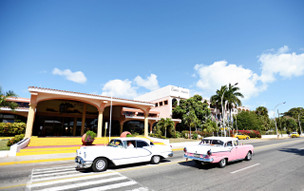 Starfish Cuatro Palmas