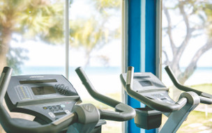 Starfish Cuatro Palmas